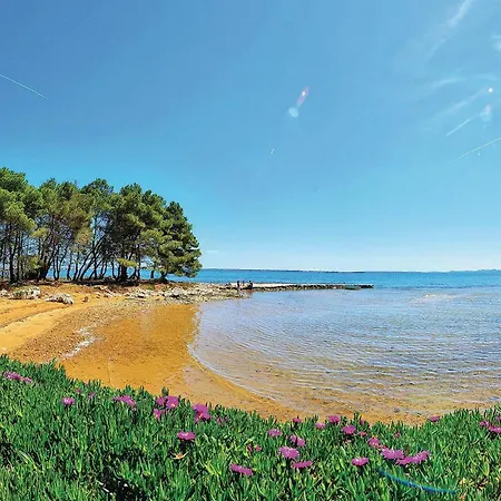 Awesome In With Wi-fi Apartamento *